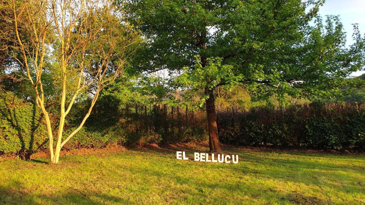 Casa Rural El Bellucu Onís Buitenkant foto