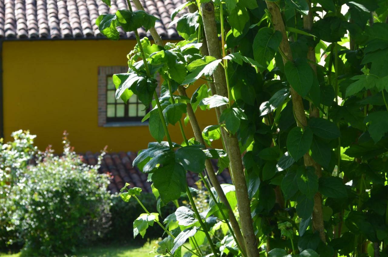Casa Rural El Bellucu Onís Buitenkant foto